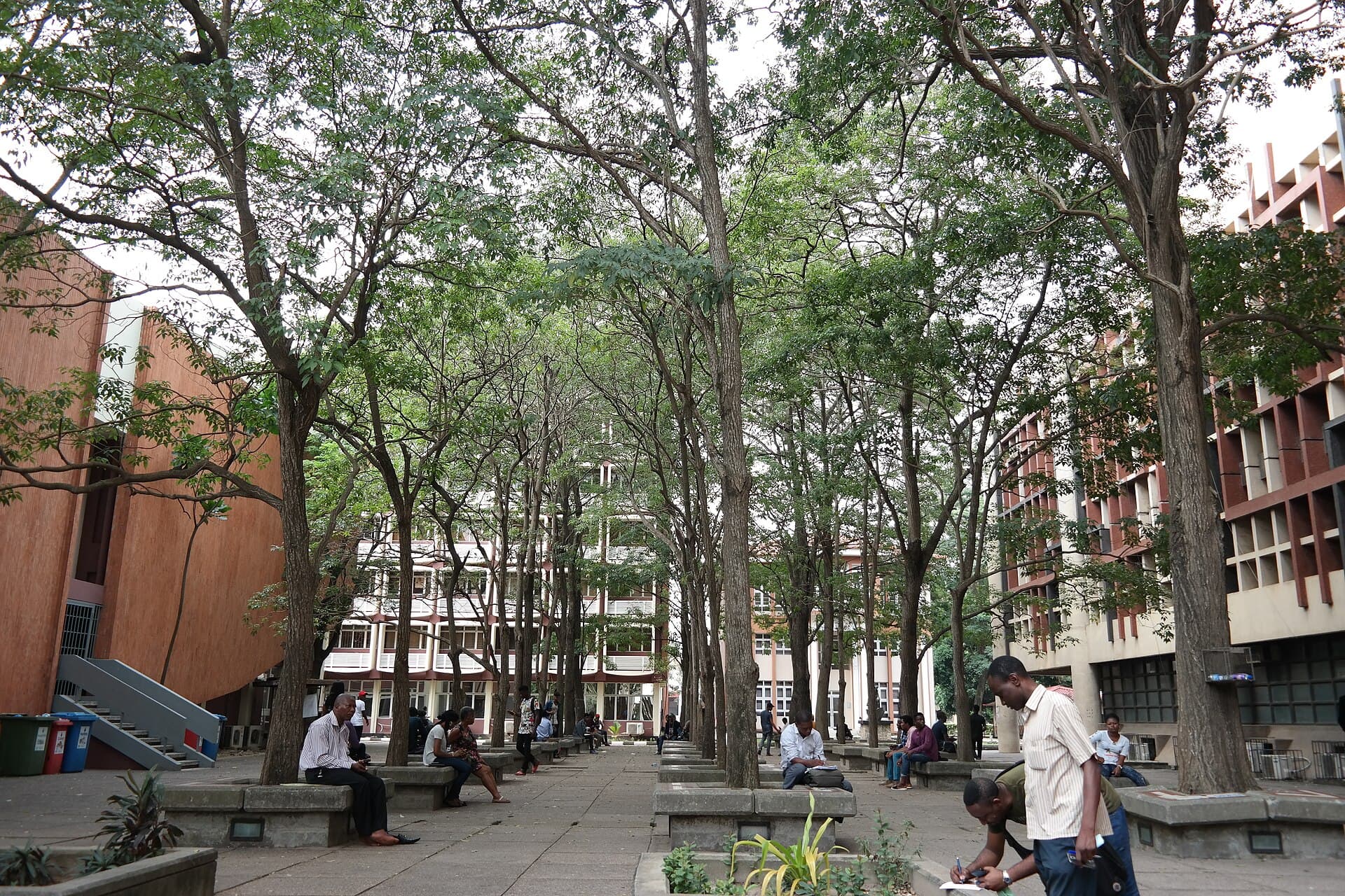 Students reading and talking under the trees in the Love Garden, University of Lagos